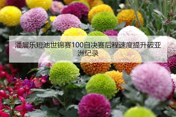 潘展乐短池世锦赛100自决赛后程速度提升破亚洲纪录