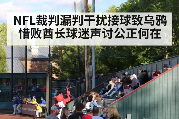 NFL裁判漏判干扰接球致乌鸦惜败酋长球迷声讨公正何在