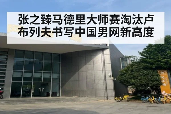 张之臻马德里大师赛淘汰卢布列夫书写中国男网新高度